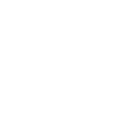 brush